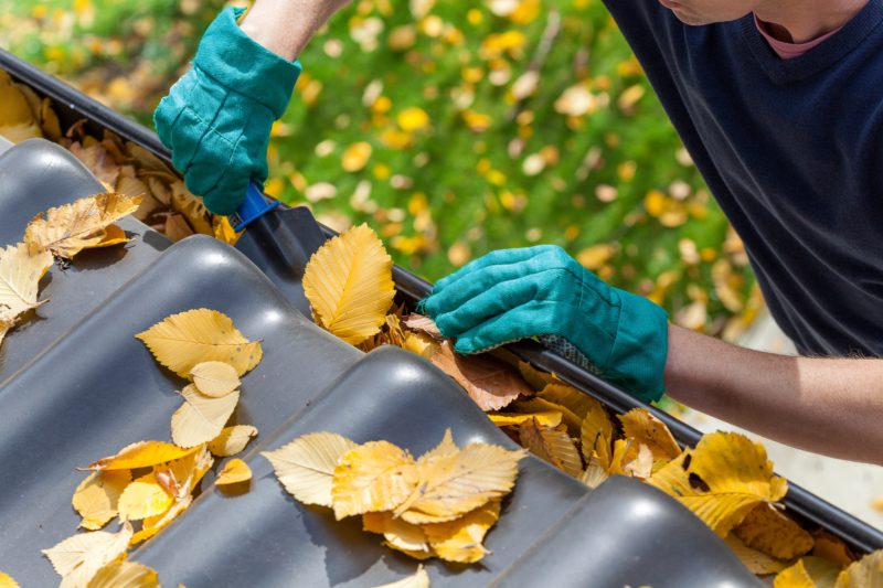 Scooping Leaves from the Gutter