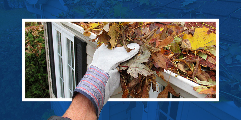 What Time of Year Is the Best to Get Your Gutters Cleaned?