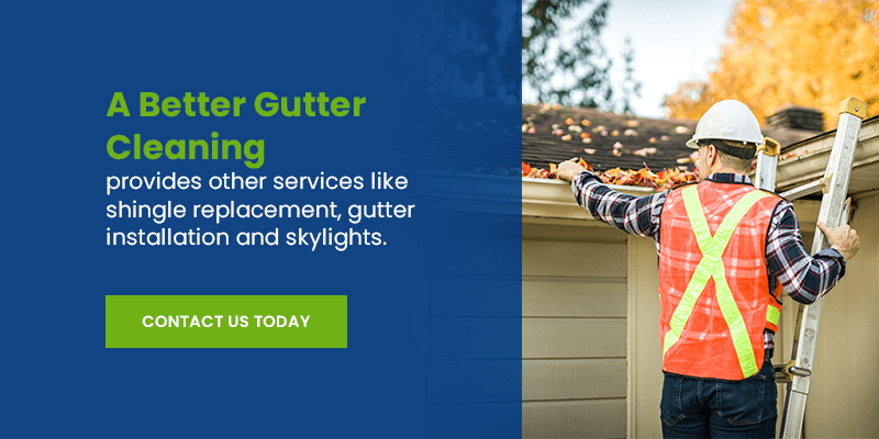 Choose A Better Gutter Cleaning