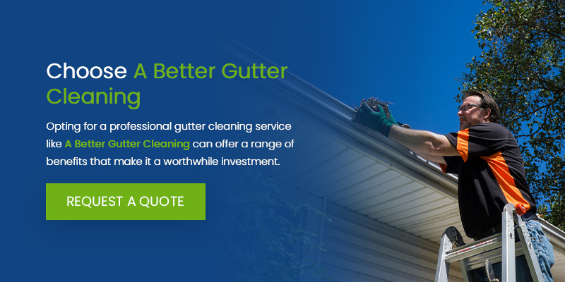 Choose A Better Gutter Cleaning