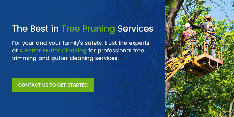 A Better Gutter Cleaning is the best in tree pruning services.